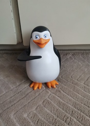 Madagaskar Penguen
