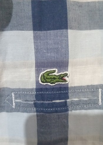lacoste kadin  Mavi Kareli Uzun Kollu Gömlek - Görsel 3