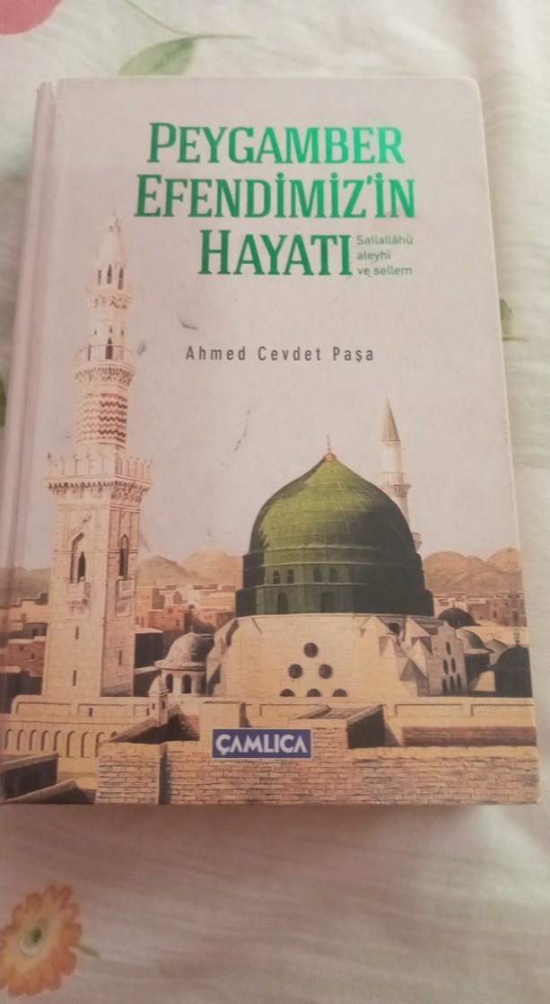 Peygamber Efendimiz'in Hayatı - Ahmed Cevdet Paşa - Görsel 2