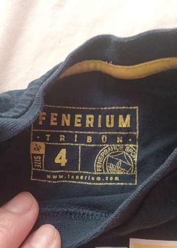 Fenerbahçe Baskılı Erkek Çocuk Tişörtü - Görsel 4