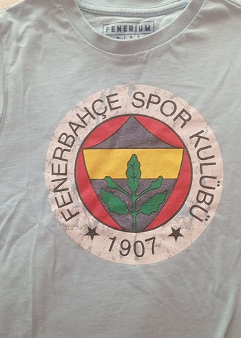 mavii Erkek Çocuk Baskılı Kısa Kollu Tişört - Görsel 2