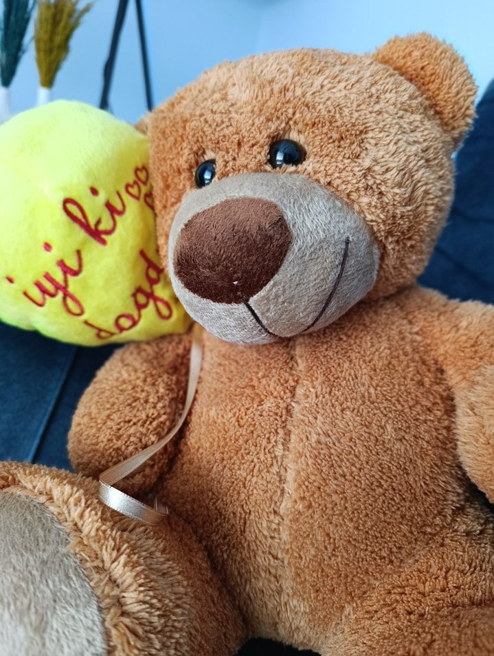 Kahverengi Peluş Ayıcık Oyuncak - Görsel 4