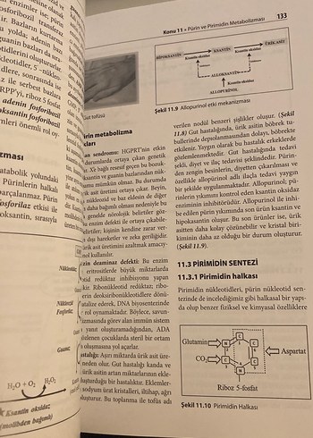 Beden Temel ve Klinik Biyokimya Kitabı - 3. Baskı
