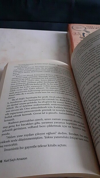 Beden Renk Haldun Taner