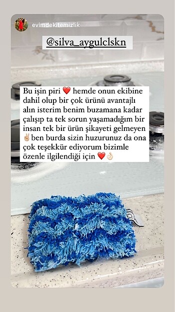 diğer Beden Silva bulaşık süngeri