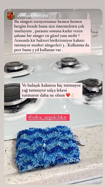 Diğer Silva bulaşık süngeri