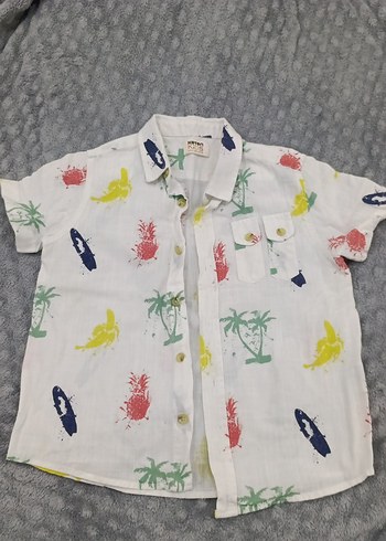 Erkek Çocuk Çok Renkli Kısa Kollu Gömlek - Görsel 2