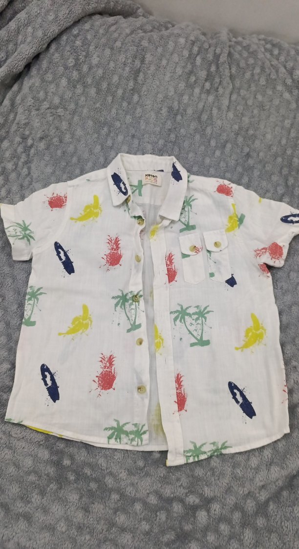 Erkek Çocuk Çok Renkli Kısa Kollu Gömlek - Görsel 2