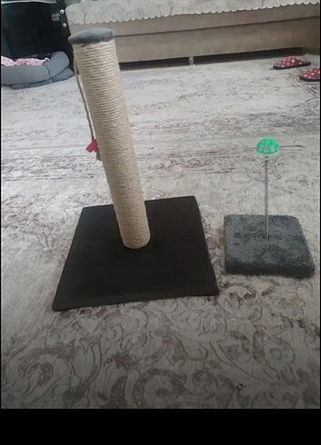 Kedi tırmalama ve hacı yatmaz