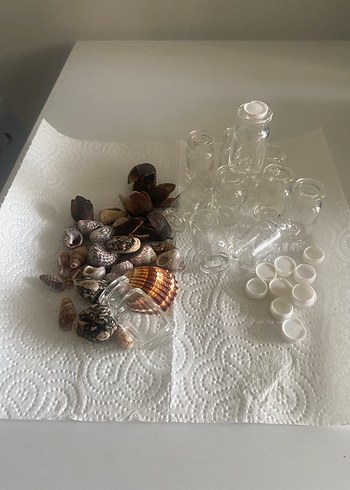 Şeffaf Mini Cam Şişeler ve Deniz Kabuğu Seti - Görsel 2
