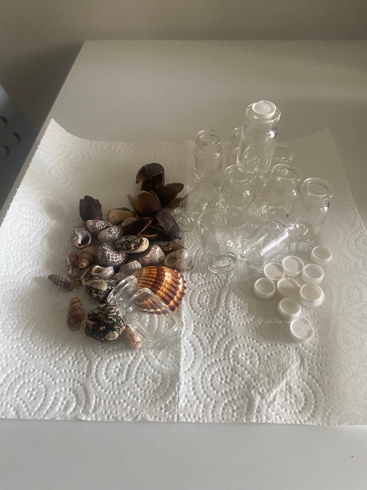 Şeffaf Mini Cam Şişeler ve Deniz Kabuğu Seti - Görsel 2