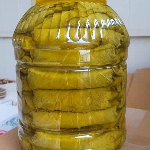 2024 yeni mahsul salamura