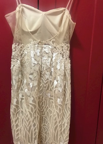 Straplez A Kesim Parlak Bej Gelinlik - Görsel 3