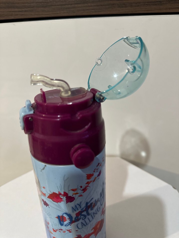 Mor Renkli Frozen Temalı Çocuk Matara - Görsel 3