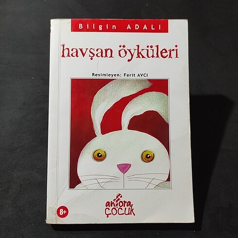 TOPLU KİTAP Çeşitli
çocuk kitapları (10 adet) - Görsel 5