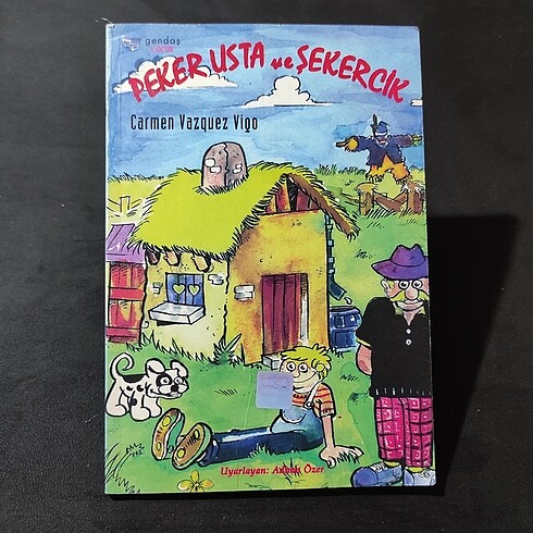 TOPLU KİTAP Çeşitli
çocuk kitapları (10 adet) - Görsel 13