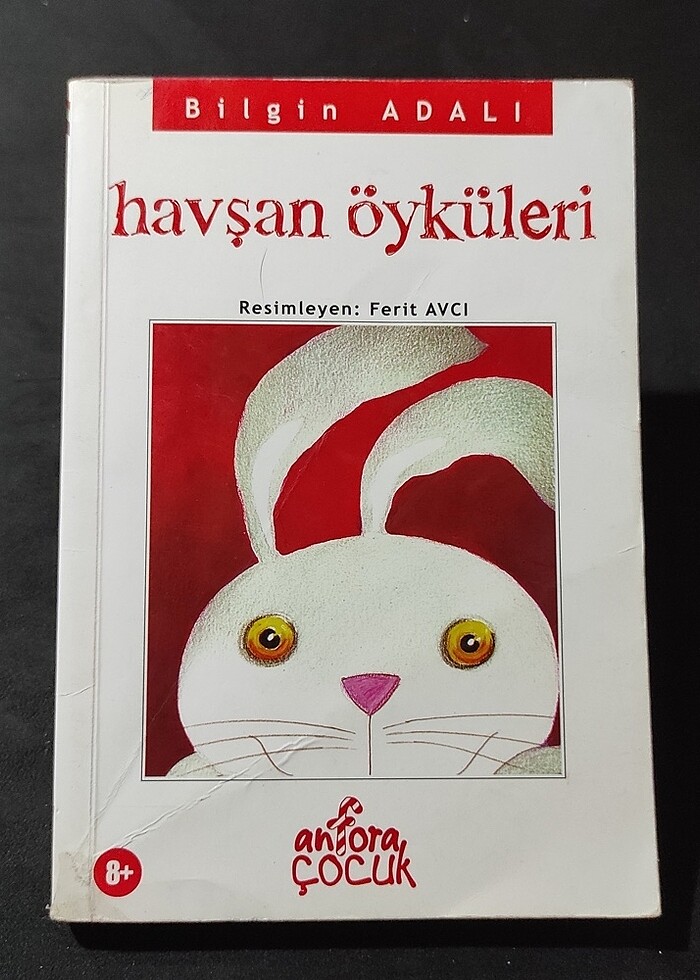 TOPLU KİTAP Çeşitli
 çocuk kitapları (10 adet) - Görsel 5