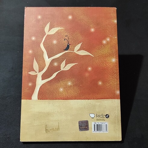 TOPLU KİTAP Çeşitli çocuk kitapları (10 adet) - Görsel 5