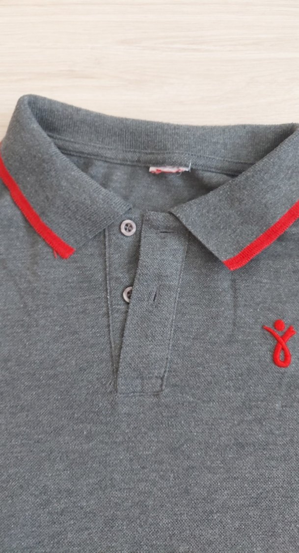 Birikim koleji forması.  Gri Erkek Polo Yaka Kısa Kollu Tişört - Görsel 4