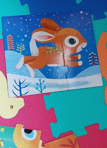 Beden Renk Puzzle