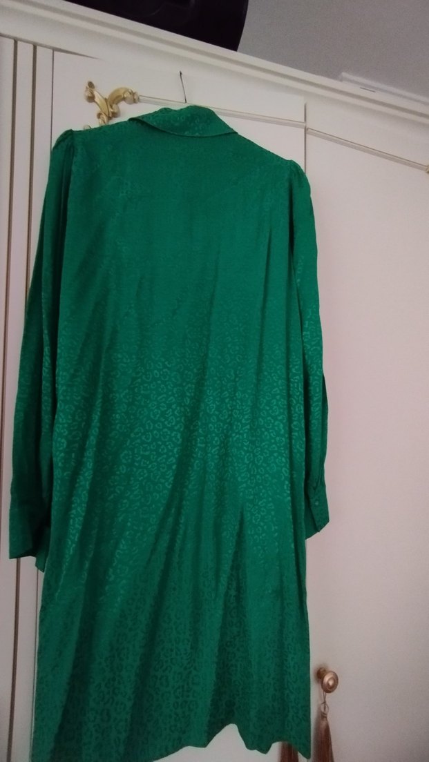 Düğmeli Yeşil Uzun Kadın Elbise - Görsel 2