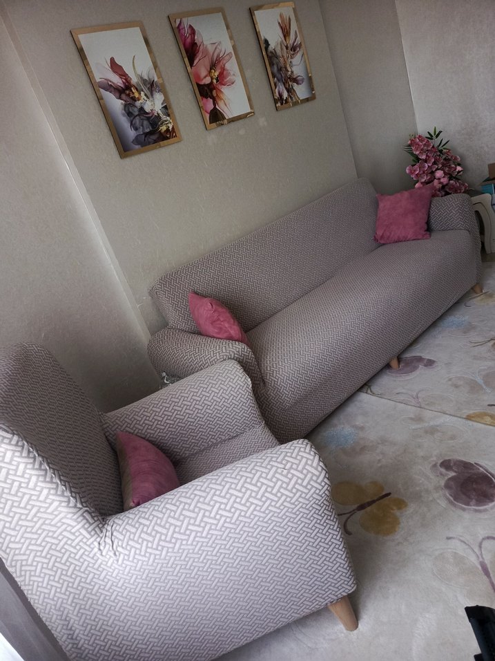 Bej Desenli Modern Koltuk Örtüsü - Görsel 3