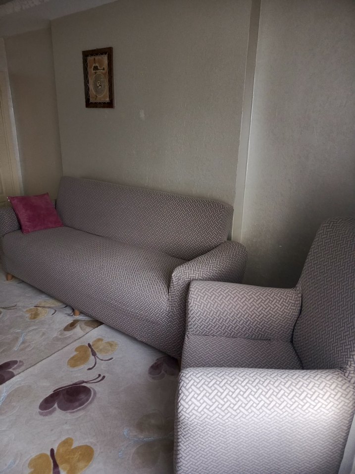 Bej Desenli Modern Koltuk Örtüsü - Görsel 2