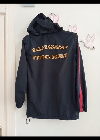 Erkek Siyah Spor Rüzgarlık Ceket - Görsel 6