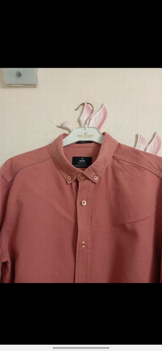 Erkek Pamuk Gömlek - Görsel 2