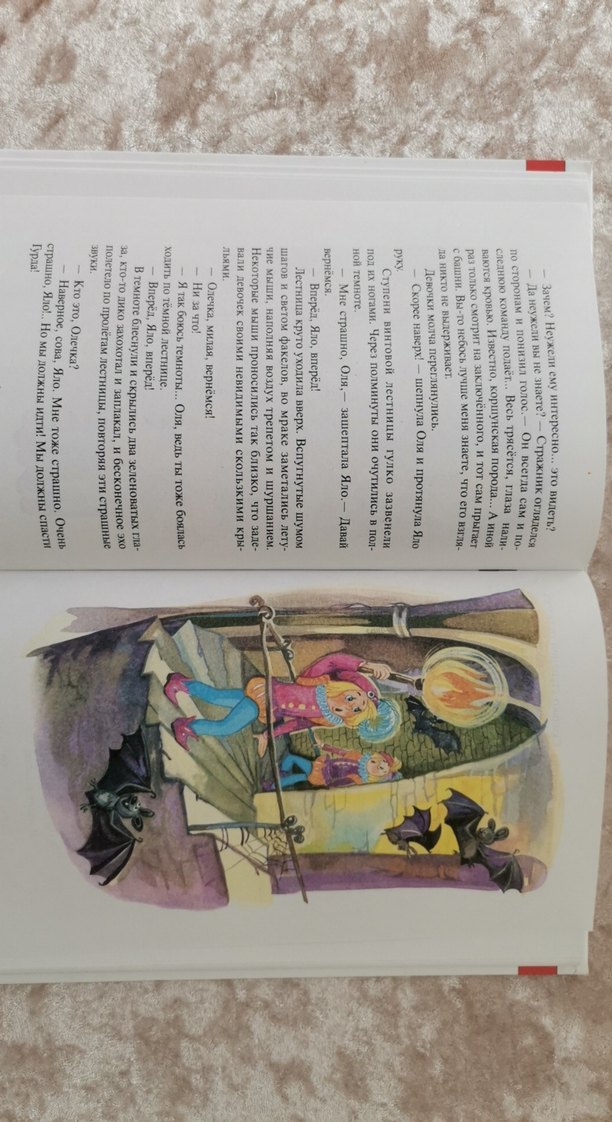 Kırık Aynalar Krallığı -    - Görsel 5