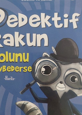 Dedektif Rakun - Harita
