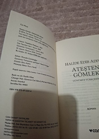 Ateşten Gömlek - Halide Edib Adıvar - Görsel 2
