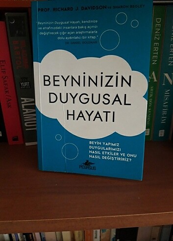 Beyninizin Duygusal Hayatı 