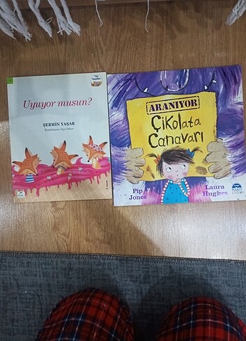 Çikolata canavarı 