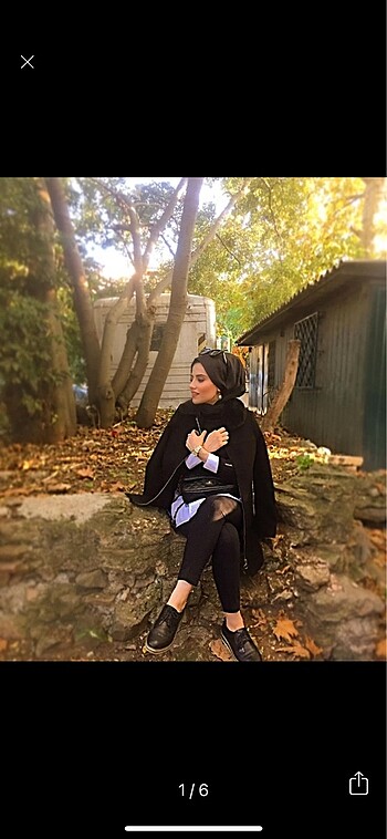 Siyah kürklü kaban