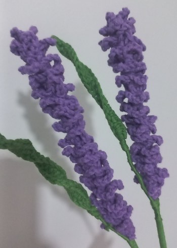 Lavanta solmayan çiçek,2 adet fiyatıdır, ip kalitesi tartışılmz - Görsel 2