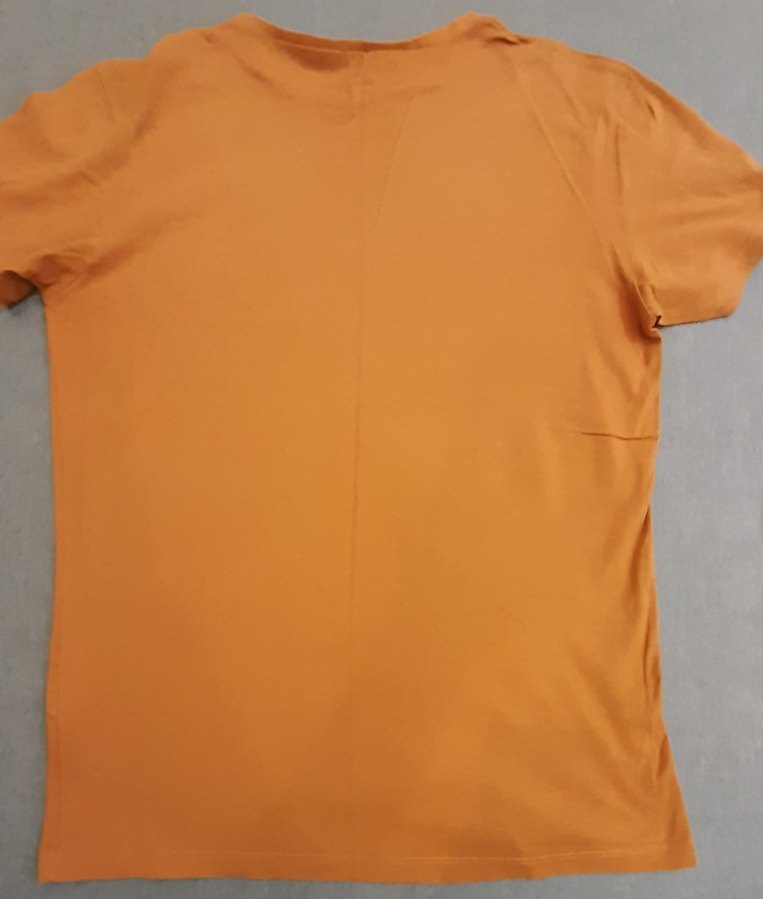 Hardal Renkli Erkek Kısa Kollu Tişört - Görsel 3