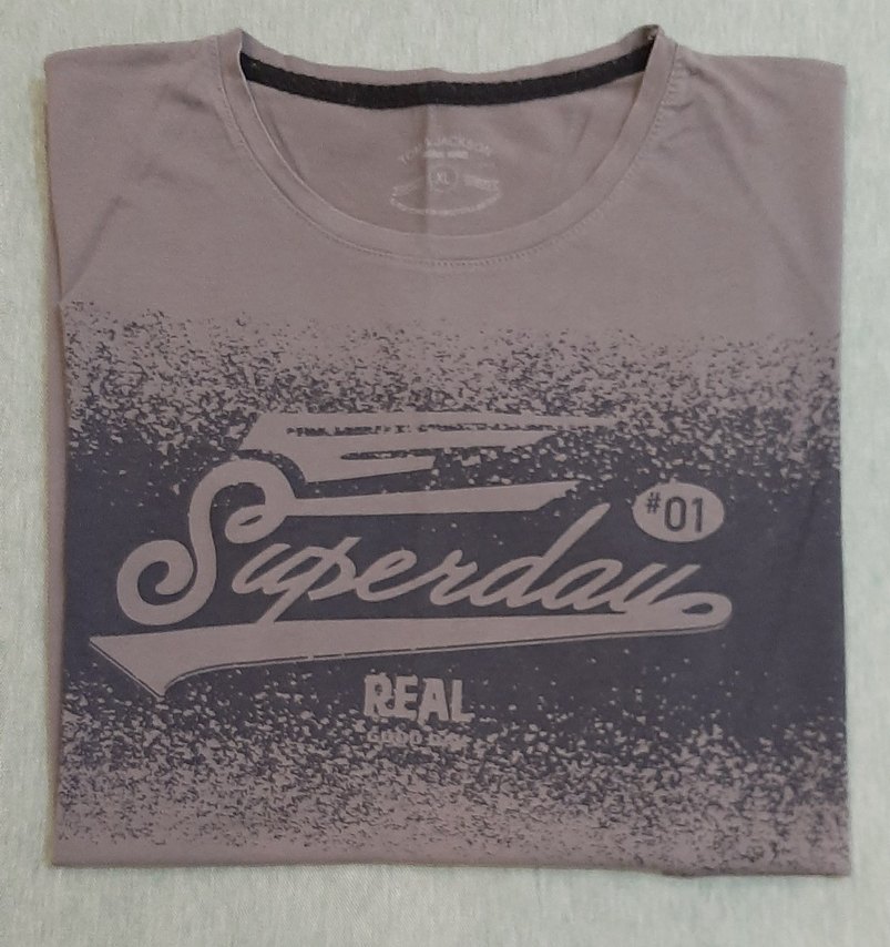 Gri Baskılı Erkek Tişört - Görsel 3