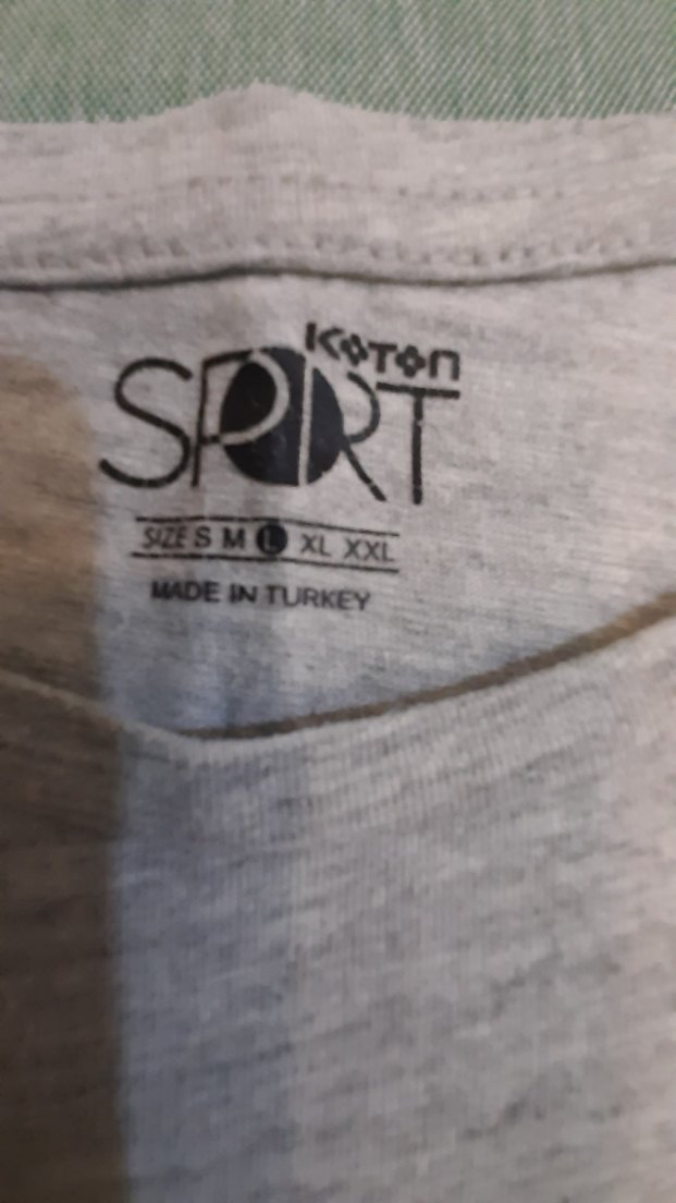 Gri Erkek Tişörtü, Kısa Kollu, Baskılı - Görsel 4