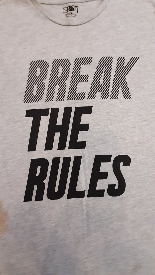 Gri Erkek Tişörtü, Kısa Kollu, Baskılı - Görsel 2