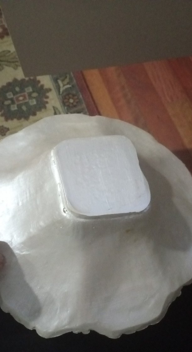 Vintage Beyaz Çiçek Desenli Tabak - Görsel 3