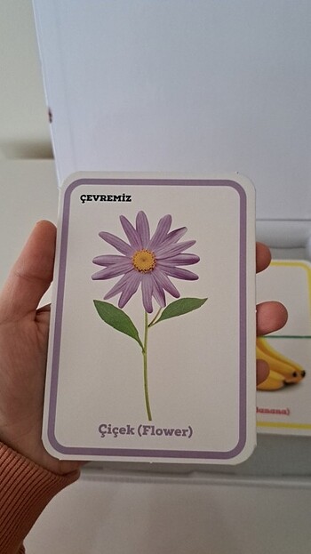  Beden Diytoy flash cards ilk 100 sözcük 
