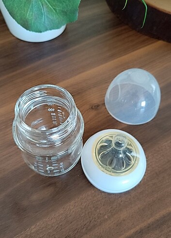 Beden Philips awent cam biberon