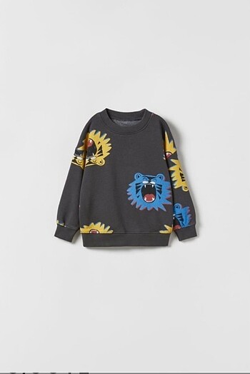 Zara Zara Lion Takım