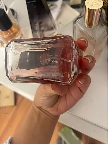Prada Prada paradox intense