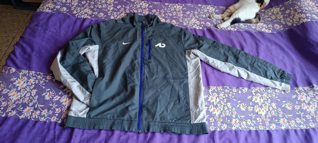 Gri Fermuarlı Erkek nike eşofman takımı - Görsel 2