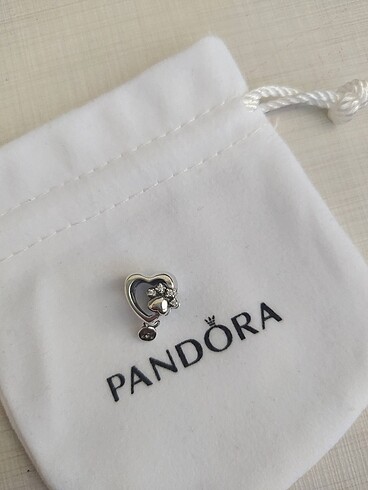 Pandora pati Charm