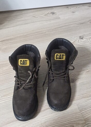 Cat bot