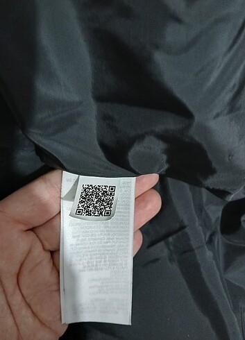 Calvin Klein Calvin Klein bayan mont
