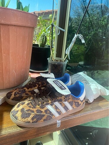 Leopar Adidas